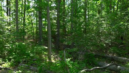 Land for sale in Hickman County, Tennessee