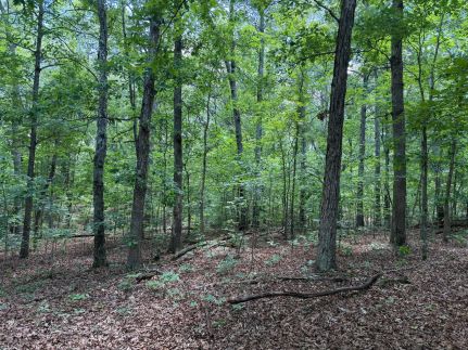 Farm and Ranch for sale in Shannon County, Missouri