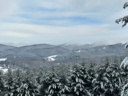 Hunting Property for sale in Alleghany County, North Carolina