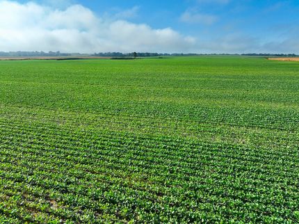 Land for sale in Dade County, Missouri