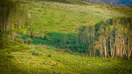 Land for sale in Eagle County, Colorado
