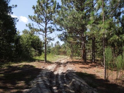 Land for sale in Harnett County, North Carolina