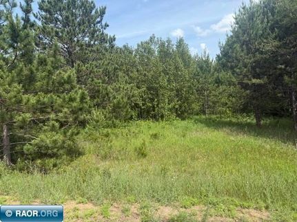 Undeveloped Land for sale in Saint Louis County, Minnesota