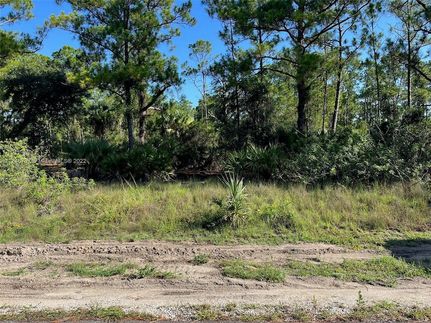 Homesite for sale in Lee County, Florida