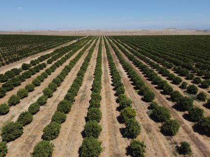 Land for sale in Madera County, California
