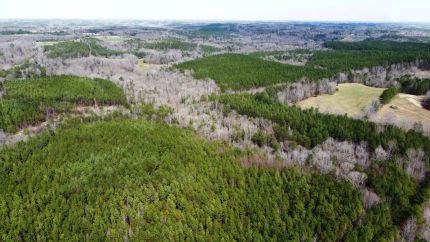 Land for sale in Winston County, Alabama