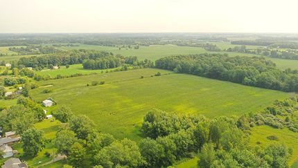 Land for sale in Henry County, Indiana
