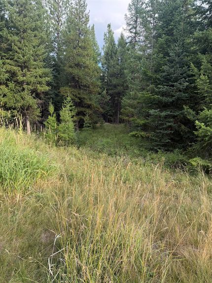 Land for sale in Flathead County, Montana
