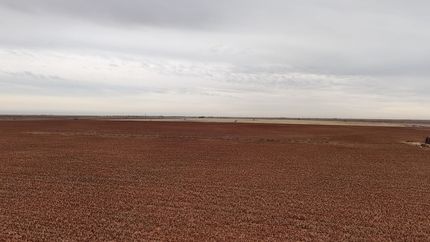 Land for sale in Cochran County, Texas