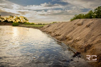 Timberland Property for sale in Kingman County, Kansas