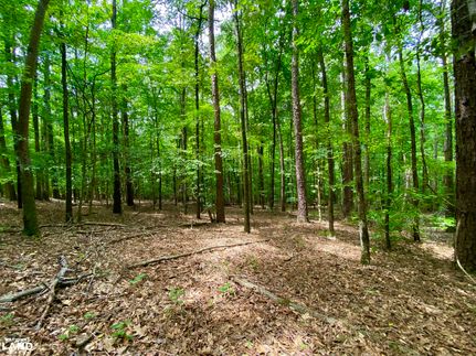 Land for sale in Tuscaloosa County, Alabama
