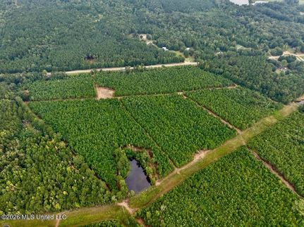 Land for sale in Wilkinson County, Mississippi