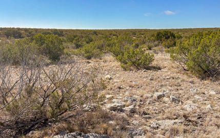 Farm and Ranch for sale in Val Verde County, Texas