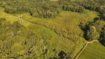 Land for sale in Pike County, Indiana