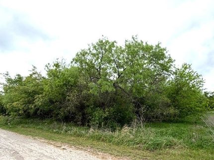 Homesite for sale in Palo Pinto County, Texas