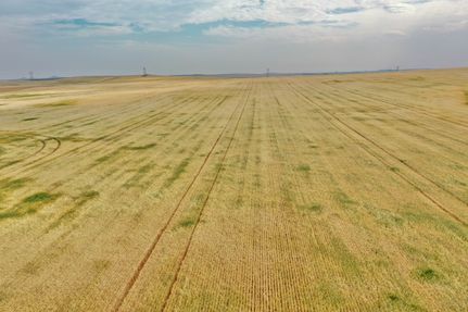 Land for sale in Golden Valley County, North Dakota