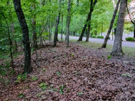 Timberland Property for sale in Franklin County, Missouri