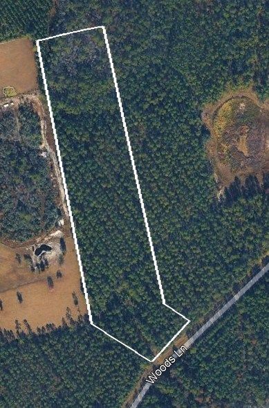 Undeveloped Land for sale in Nassau County, Florida