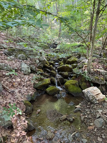 Land for sale in Rockbridge County, Virginia