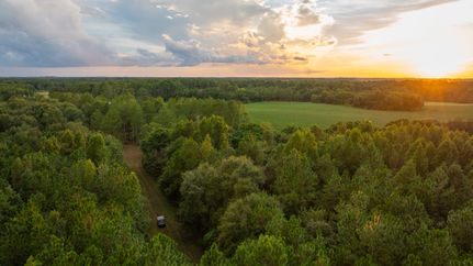 Land for sale in Wilcox County, Georgia