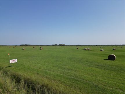 Land for sale in Colfax County, Nebraska