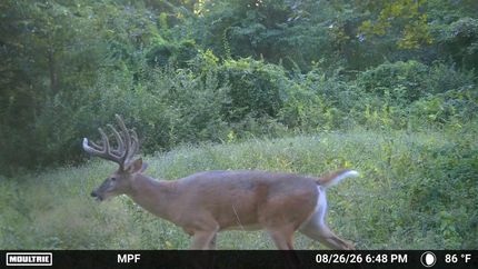 Land for sale in Randolph County, Missouri