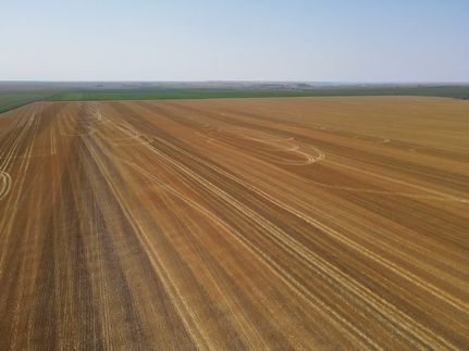 Land for sale in Potter County, South Dakota