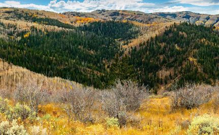 Land for sale in Wasatch County, Utah
