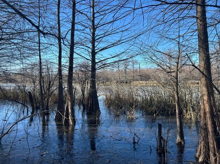 Land for sale in Tunica County, Mississippi