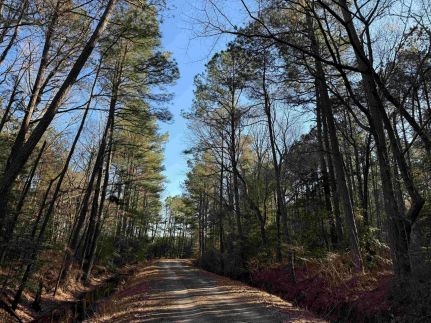 Land for sale in Mathews County, Virginia