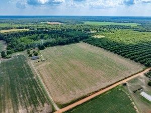 Farm and Ranch for sale in Worth County, Georgia