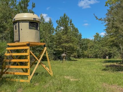 Recreational Property for sale in Schley County, Georgia