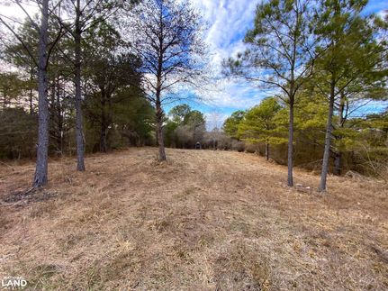 Farm and Ranch for sale in Marion County, Alabama