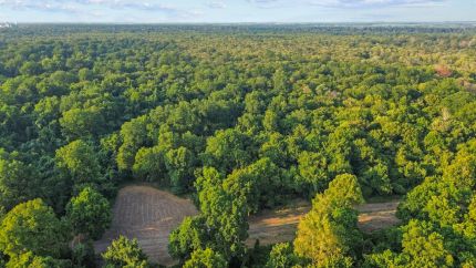 Farm and Ranch for sale in Desha County, Arkansas