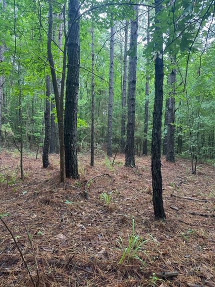 Land for sale in Sumter County, Alabama