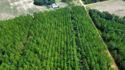 Homesite for sale in Ben Hill County, Georgia