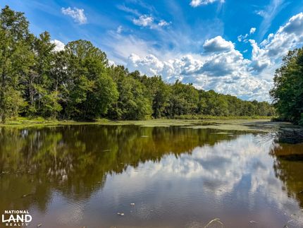 Land for sale in Dallas County, Alabama