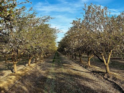 Farm and Ranch for sale in Madera County, California