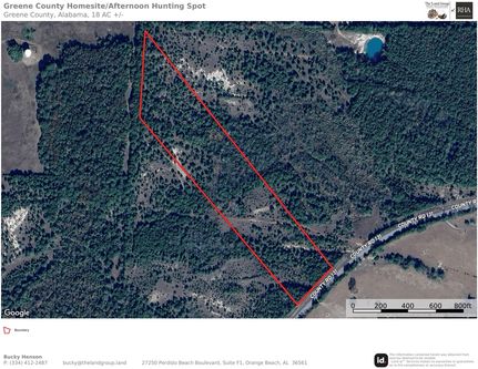 Land for sale in Greene County, Alabama