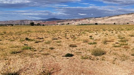 Undeveloped Land for sale in Sevier County, Utah