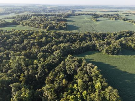 Undeveloped Land for sale in Fulton County, Illinois