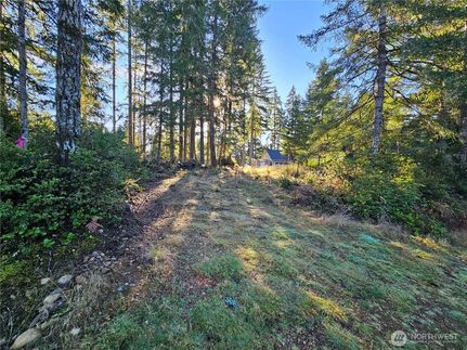 House for sale in Mason County, Washington