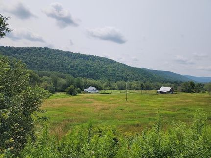 Land for sale in Potter County, Pennsylvania