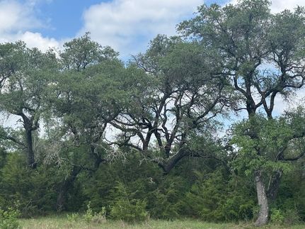 Undeveloped Land for sale in Burnet County, Texas