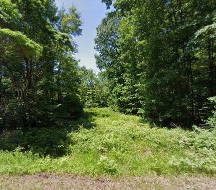 Land for sale in Van Buren County, Michigan