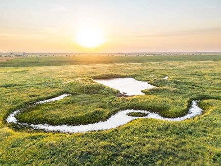 Undeveloped Land for sale in Grant County, Oklahoma