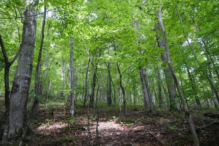 Land for sale in Washington County, Virginia
