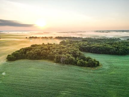 Land for sale in Schuyler County, Illinois