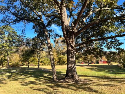Land for sale in Union County, Mississippi