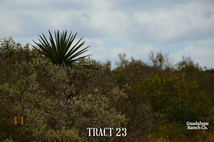 Land for sale in Duval County, Texas